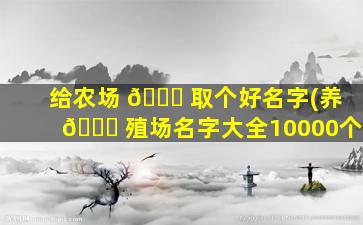 给农场 🐈 取个好名字(养 🐘 殖场名字大全10000个)